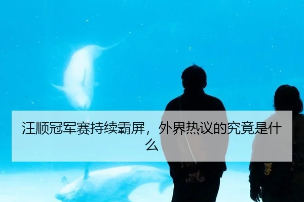 wang-shun-guan-jun-sai-chi-xu-ba-ping-wai-jie-re-yi-de-jiu-jing-shi-shen-me-2-315.jpg