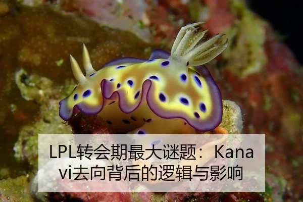 zhuan-hui-qi-zui-da-mi-ti-qu-xiang-bei-hou-de-luo-ji-yu-ying-xiang-2-290.jpg